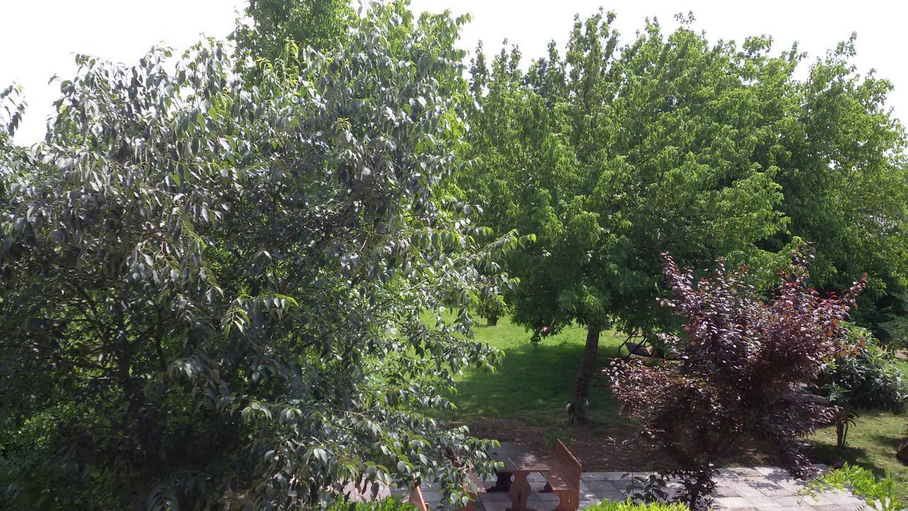 Agriturismo La Pace Villa Valeggio sul Mincio Exteriör bild